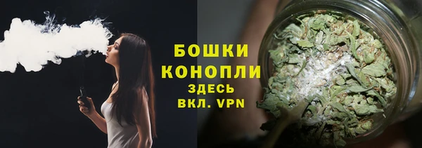 apvp Белокуриха