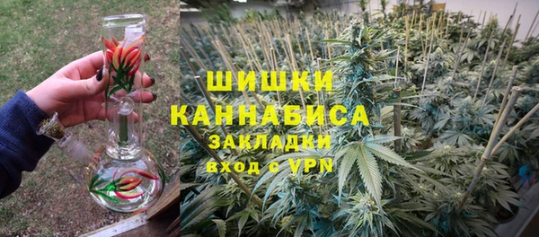 apvp Белокуриха