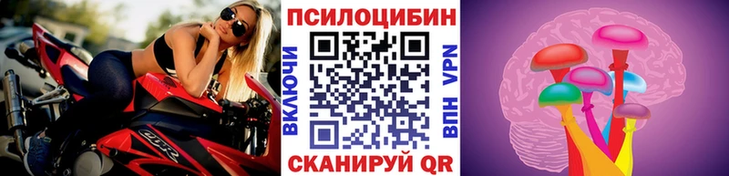 купить наркоту  Светогорск  Псилоцибиновые грибы мухоморы 